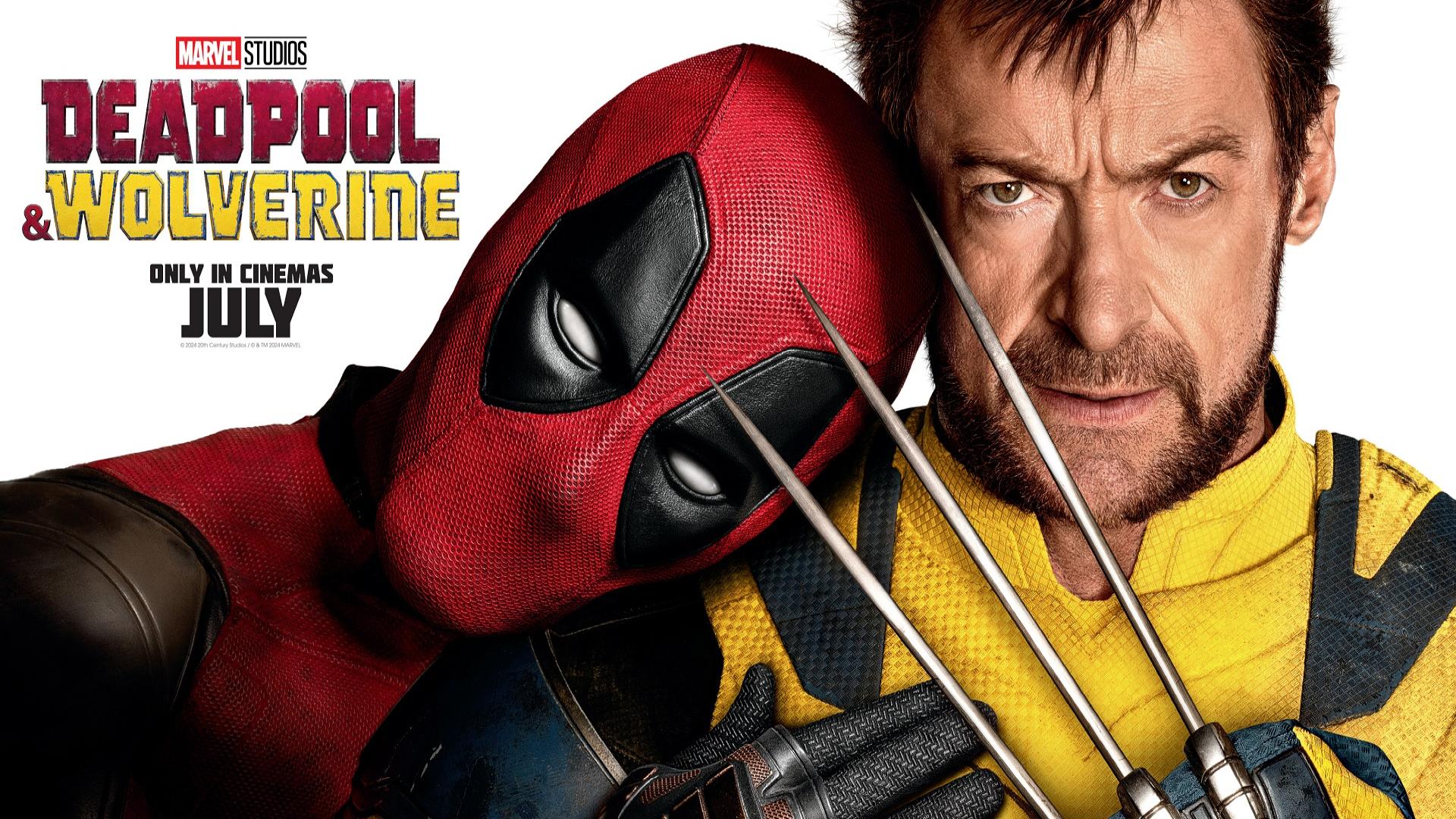 owl-carousel-banner-image